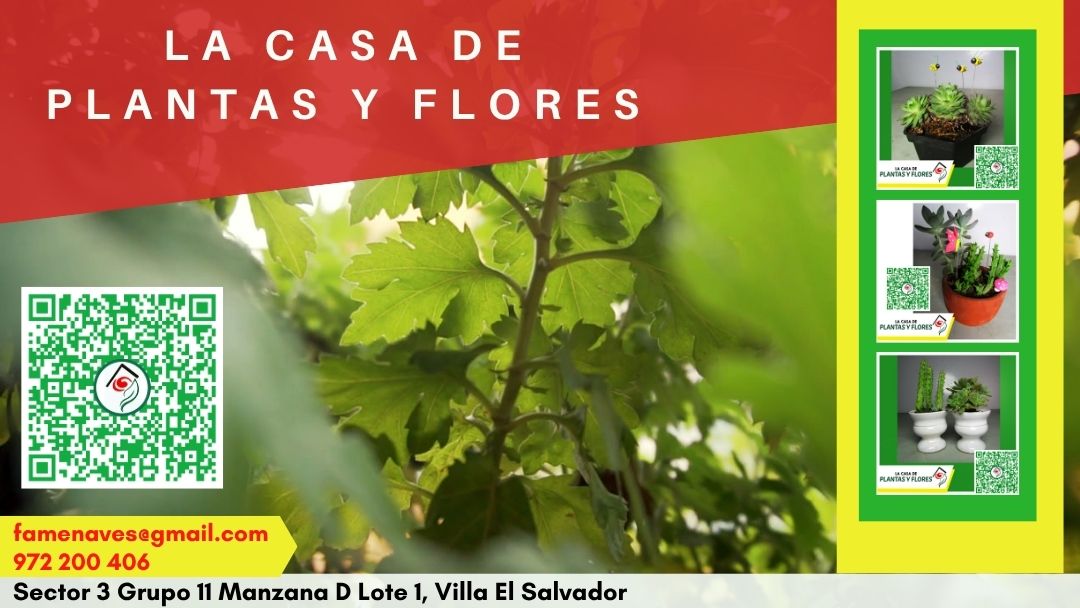 Diseño de portada 3